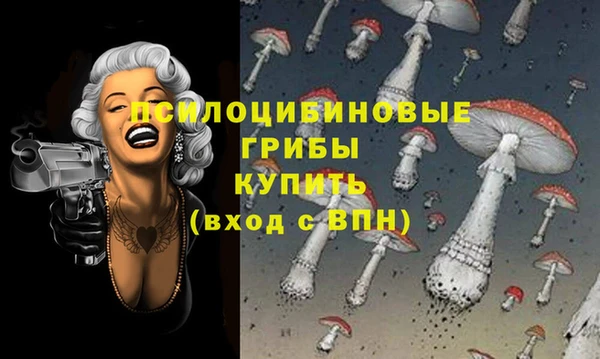 синтетический гашиш Алексин
