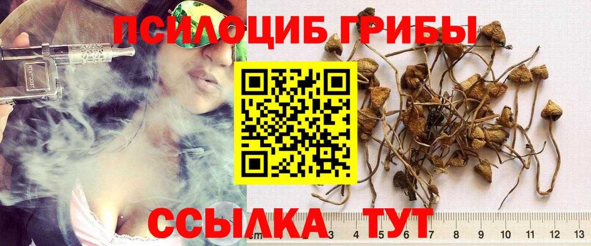 Карасук  Галлюциногенные грибы Magic Shrooms  даркнет сайт  Вход с VPN  Псилоцибиновые грибы ЛСД 